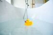 © bigy9950 - Yellow playful rubber duck float in the bathtub. Kids bath time concept. Funny toy for kits.