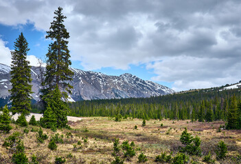 Wall Mural - Beautiful mountain landscape. Icefields Parkway. Canadian Rockies. Columbia Icefield Area. Jasper National Park,  Alberta, Canada