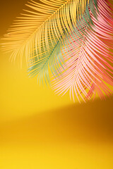 Palm leaf on a yellow background. - Summer concept