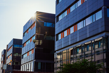 Wall Mural - Facade of buiding with green trees, Modern office building in city for business corporation, Residential contemporary