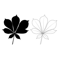 Wall Mural - Set of vector chestnut leaf outline and silhouette black icon. Simple chestnut leaves illustration for logo. Realistic hand drawn leaves illustration set on white background.