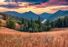 Orange Grass Onpasture On The Shore Of Lacul Dragan Lake, Cluj County, Romania. Marvelous Summer Sunrise On Apuseni Mountains. Beauty Of Nature Concept Background.