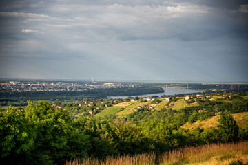 Canvas Print - Beautiful summer landscape, green hills of Fruska Gora, travel to Serbia. Panoramic view of Novi Sad and the Danube river