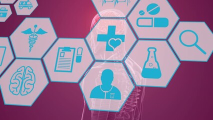 Poster - Animation of scientific icons in hexagons over human model on burgundy background
