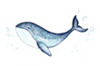 Fanatasy Blauwal Illustration, Meerestier, verniedlicht und isoliert vor weißem Hintergrund - Meeressäuger, digitale handzeichnung