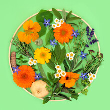 Herbs And Edible Flowers Healthy Food Seasoning