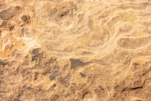 Abstract Texture Of Ground Surface