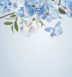 Blue orchids flowers border at pastel colored background. Floral backdrop. Front view with copy space.