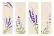 Vector Illustration. Set of bookmarks decorated with botanical art texture. Bookmarks with modern creative design decorated with lavender flowers printable template