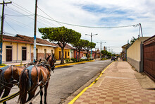 Horse Drawn Carriage Through The Old City In Granada, Nicaragua