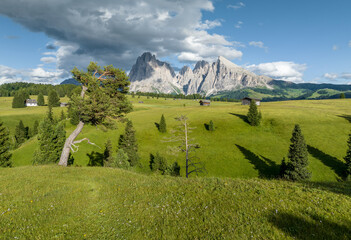 Fototapete - Aerial view of Seiser Alm valley with traditional wooden mountain huts in Dolomites Italy . Morning drone shot of idyllic Alpe di Suisi blooming meadow in South Tyrol 
