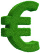 euro symbol on grass in 3d render