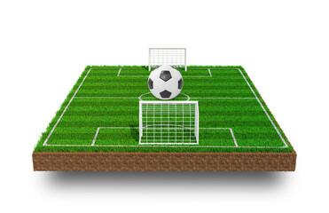 Canvas Print - soccer field in the grass in 3d render