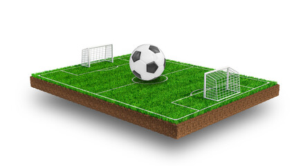 Canvas Print - soccer field in the grass in 3d render