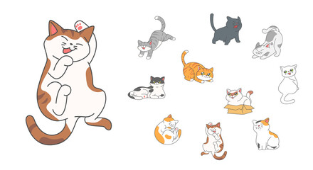 Set of cute funny cats activity such as hiding in the box, hissing, jumping, sleeping etc.