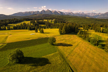 Wall Mural - Farm fields and meadows on rolling hills in high Tatra mountains in Poland at summer