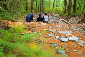 Canvas Print - Hikers are resting in the forest