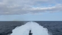 View From The Back Of A Fast Ferry Between Norway And Denmark. Water Is Pushed Out From Jet Drives Creating A Long White Trail Of Bubbles And Foam. 