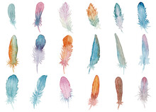 透明水彩で描いた羽根セット（ラスター）