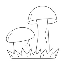 Edible Mushrooms In The Grass - Linear Vector Illustration. Two Ceps Large And Small. Mushroom Outline Drawing. Autumn Forest Harvest. Black Lines Isolated On A White Background.