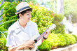 Asian man with hat playing guitar ukulele