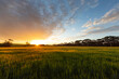 © Austockphoto - landscape of setting sun over farming land with green cereal crop