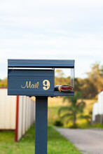 Number 9 Mail Box In Front Of Long Driveway With Junk Mail Catalog