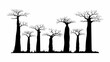 Silhouette baobab trees vector individual element with grass