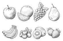 フルーツの線画のイラスト, 手描きのスケッチ, 白背景にベクター素材, 果物の挿絵. 黒色の線画.