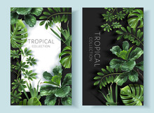 Vector Tropical Frames With Green Leaves On Black Background. Luxury Exotic Botanical Design For Cosmetics, Wedding Invitation, Summer Banner, Spa, Perfume, Beauty, Travel, Packaging Design