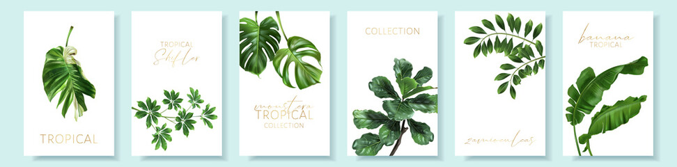 Wall Mural - Vector tropical cards set with green leaves on white background. Luxury exotic botanical design for cosmetics, wedding invitation, summer banner, spa, perfume, beauty, travel, packaging design