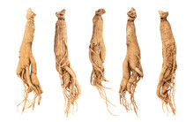 Ginseng Or Panax Ginseng Isolated On White Background With Clipping Path.