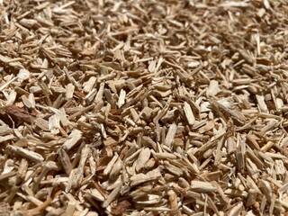 Poster - a pile of many wood chips