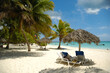 Leinwandbild Motiv Tropical beach. The Dominican Republic, Saona Island