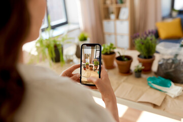 Poster - people, gardening and housework concept - close up of woman with smartphone photographing pot flowers at home