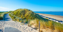Green Grassy Dunes Along A Sand Beach And A Sea Under A Blue Sky In  Bright Sunlight In Summer, Walcheren, Zeeland, The Netherlands, July, 2022