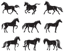 Horses Black Silhouette Set Isolated, Vector