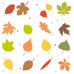 Wall Mural - autumn leaves silhouette set isolated, vector
