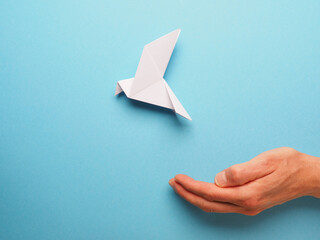 Wall Mural - Open hand with an origami peace dove on a blue paper background, freedom or world peace concept