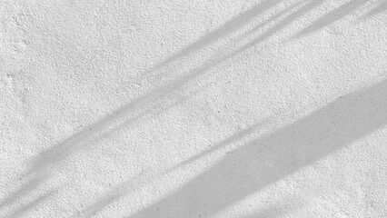 Wall Mural - Black and White abstract background texture of shadows leaf on a concrete wall