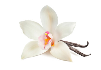 Wall Mural - vanilla flower and bean for flavored drinks isolated on white background.