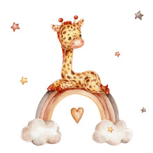 Little Giraffe On Rainbow; Watercolor Hand Drawn Illustration; With White Isolated Background