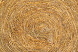 Fototapeta Desenie - straw bales stacked on the field