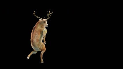 Wall Mural - deer dancing cg fur 3d rendering animal realistic cgi vfx animation loop composition 3d mapping cart