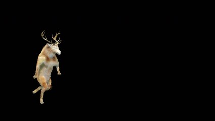 Wall Mural - deer dancing cg fur 3d rendering animal realistic cgi vfx animation loop composition 3d mapping cart