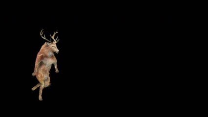 Wall Mural - deer dancing cg fur 3d rendering animal realistic cgi vfx animation loop composition 3d mapping cart