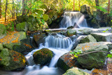 Fototapeta Krajobraz - Wodospad w parku. Waterfall in park.
