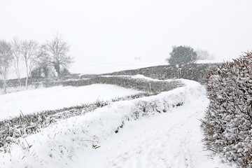 Wall Mural - Track in the winter with snow