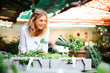 Frau auf dem Markt mit kleinen Salatpflänzchen, Freud Gemüse selbst anzubauen