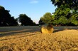 Stoppelfeld mit Strohballen im Sonnenuntergang